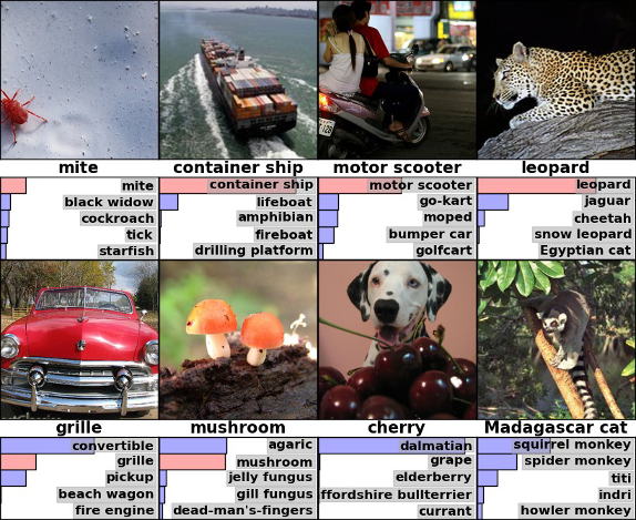 ImageNet Results